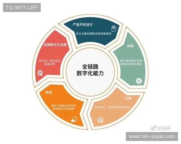 本阶段全链条数字化改造正式落地 标志着赛事组织体系完成了结构性的转型使命